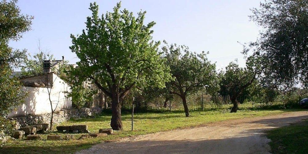 Agriturismo Terra Di Pace Noto Eksteriør bilde
