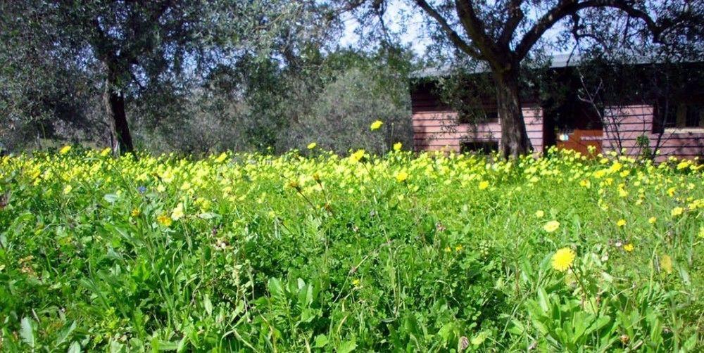 Agriturismo Terra Di Pace Noto Eksteriør bilde